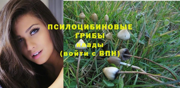 соль ск Зеленокумск