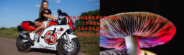 a pvp Зерноград
