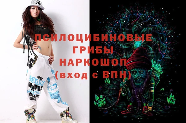 соль ск Зеленокумск
