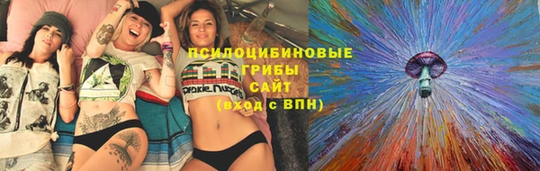 соль ск Зеленокумск