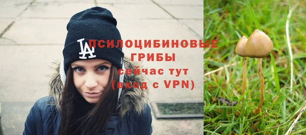 соль ск Зеленокумск